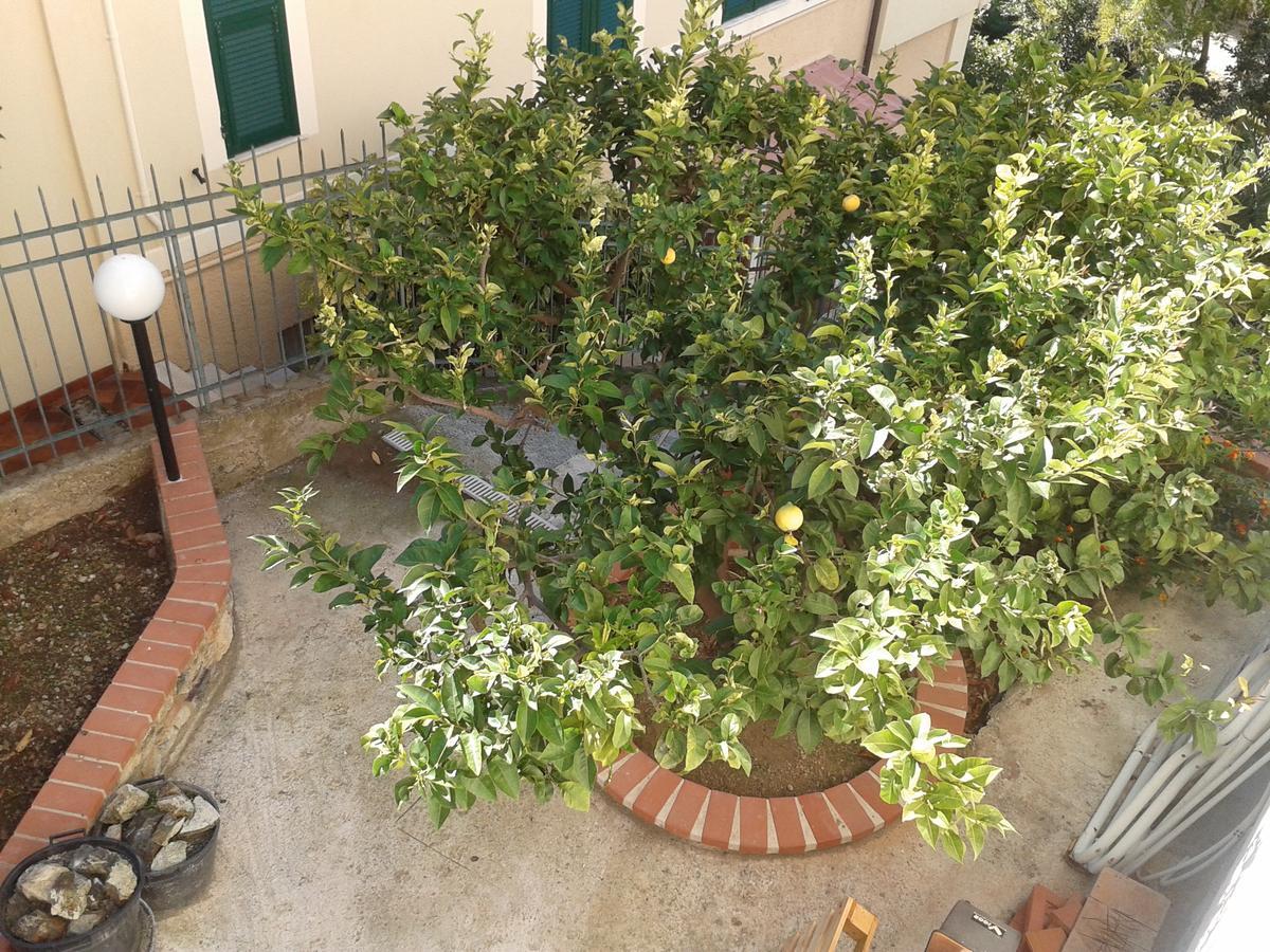 Au Cavettu B&B Varazze Ngoại thất bức ảnh