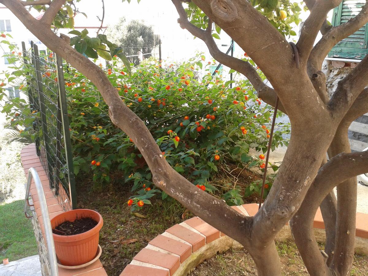 Au Cavettu B&B Varazze Ngoại thất bức ảnh